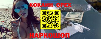 mdpv Заводоуковск