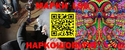 mdpv Заводоуковск