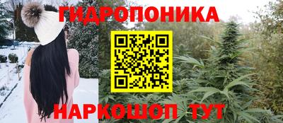 mdpv Заводоуковск