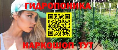 mdpv Заводоуковск