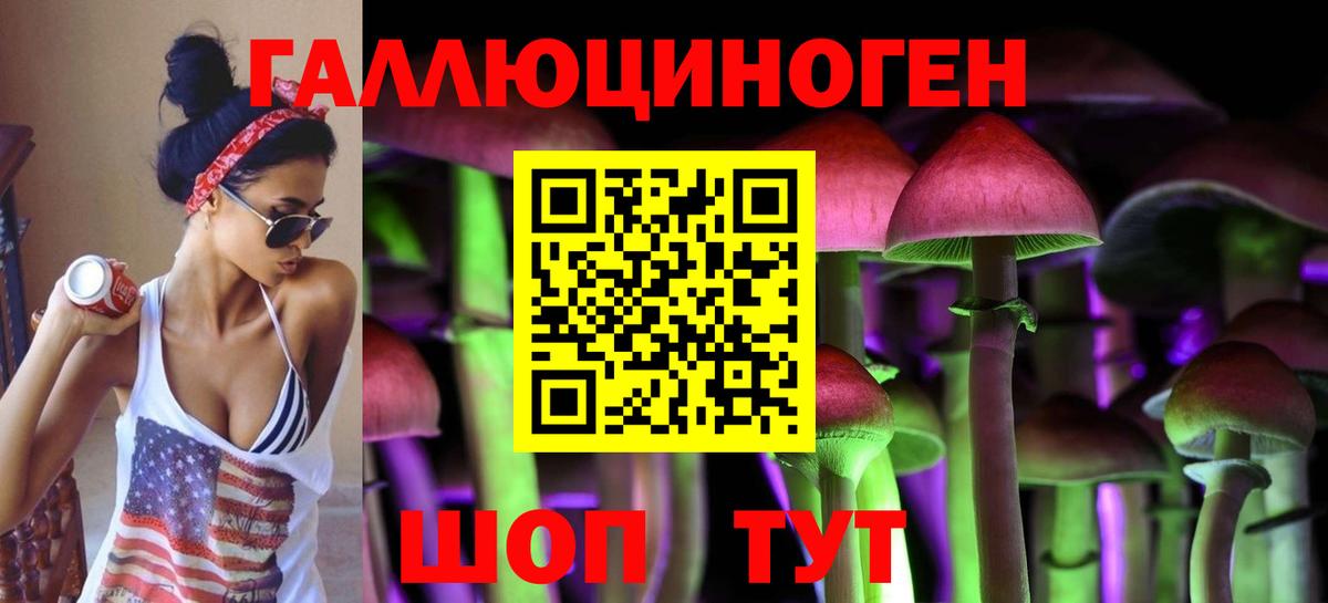Магнитогорск  Псилоцибиновые грибы GOLDEN TEACHER  где купить наркоту  Вход с VPN 